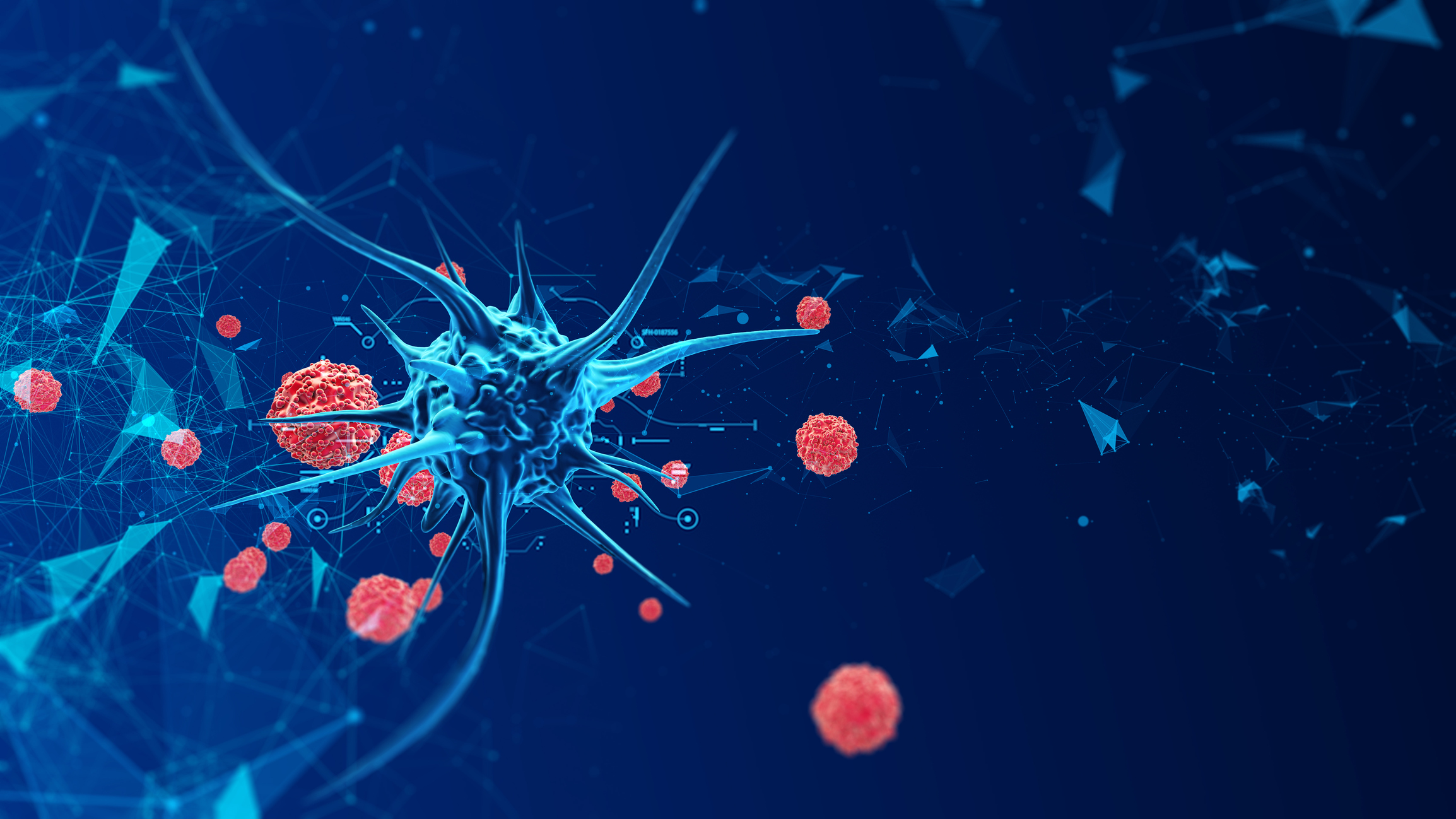 Anti-Aging & Wellness Center